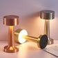 🌈 Metal LED Lamp – Rechargeable, Color-Changing & Ultra Stylish